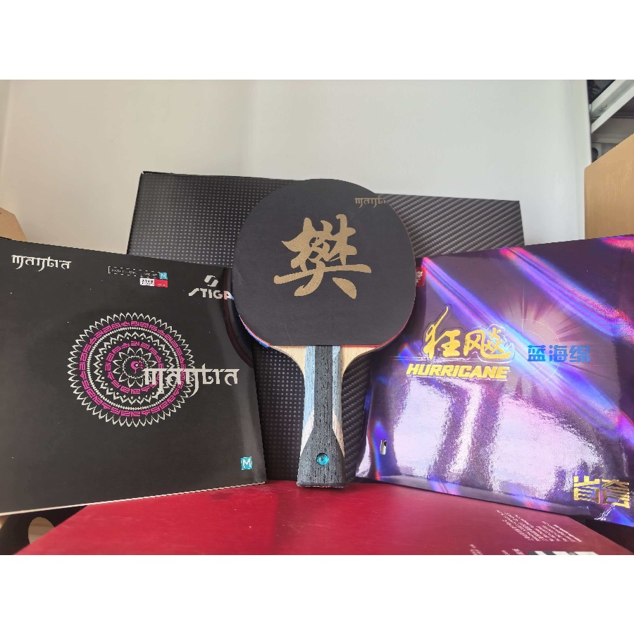 Friendship Blue Arylate Carbon - Stiga Carbon Blade recension och pris