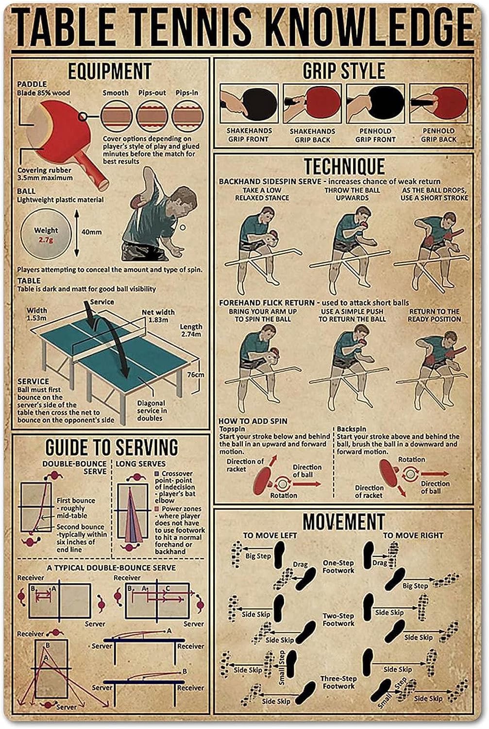 Table Tennis Knowledge Poster  - Table Tennis Knowledge Poster recension och pris