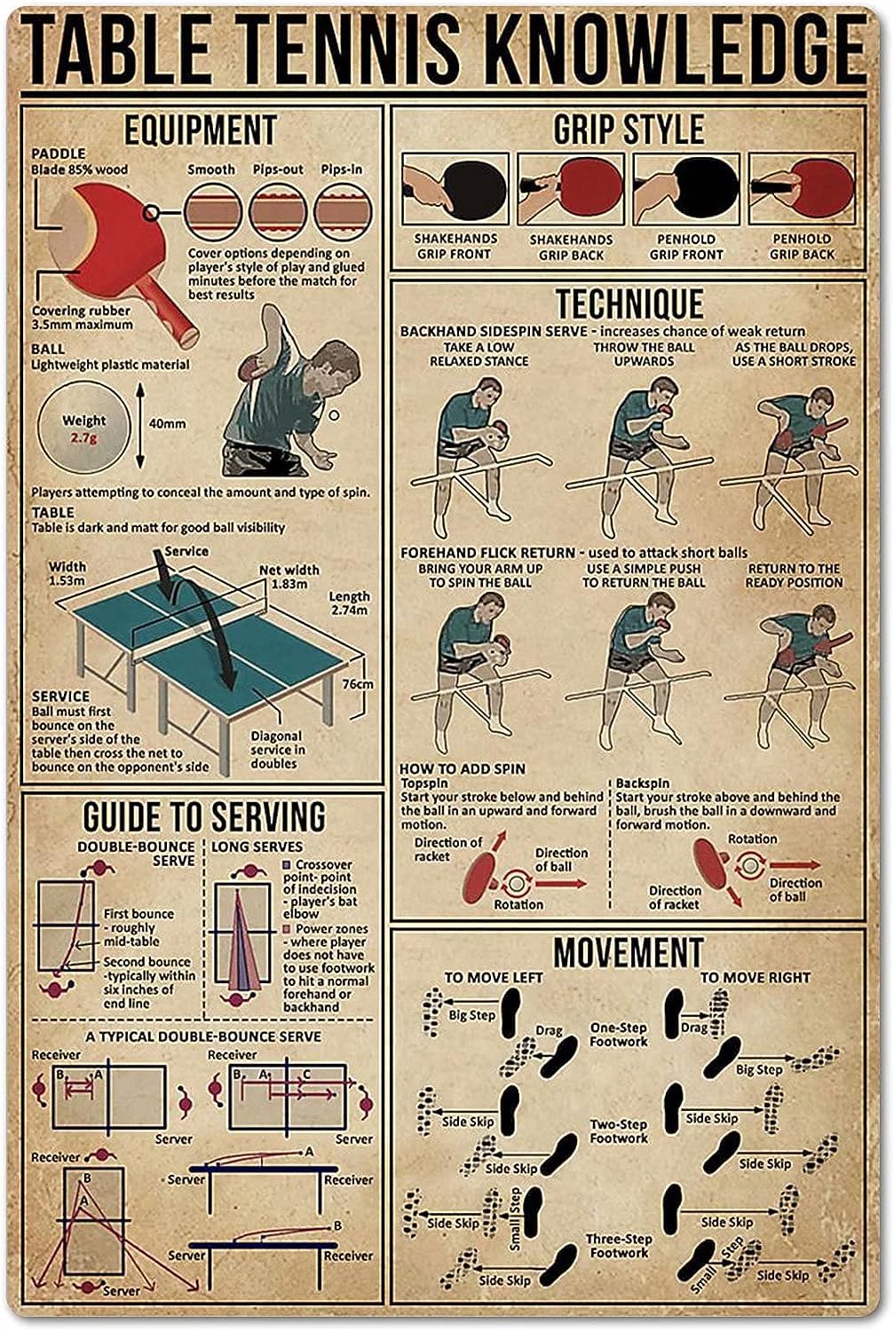Table Tennis Knowledge Poster  - Table Tennis Knowledge Poster recension och pris