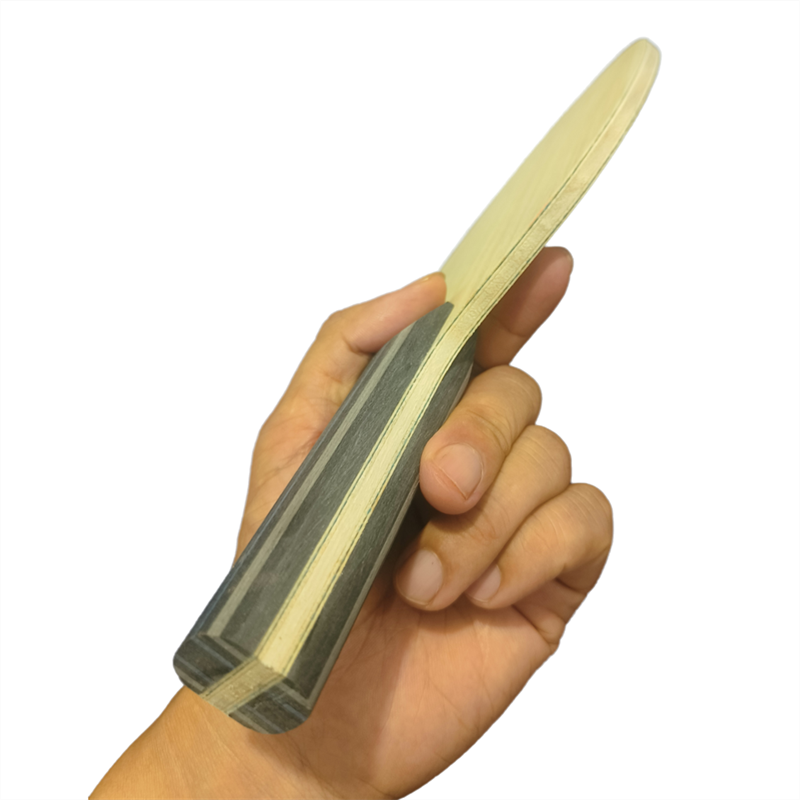 Malathorne Handmade Table Tenn - Stiga Carbon Blade recension och pris