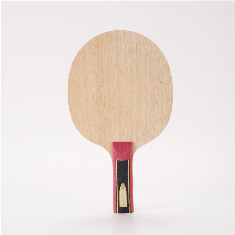 Stuor 5 Layers Wood With 2 Lay - Stiga Carbon Blade recension och pris