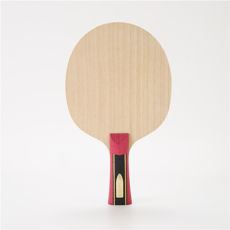 Stuor 5 Layers Wood With 2 Lay - Stiga Carbon Blade recension och pris