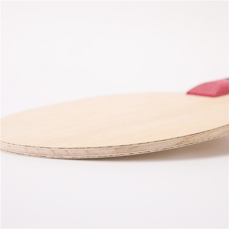 Stuor 5 Layers Wood With 2 Lay - Stiga Carbon Blade recension och pris